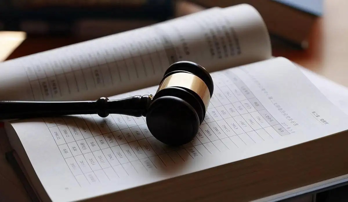 �ɶ�ͣծ��ʦ��ѯ ����Ԯ��